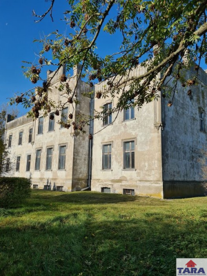 Dom Górki Dąbskie 20-pokojowe