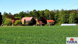 Gospodarstwo rolne Gościeszyn 6-pokojowe