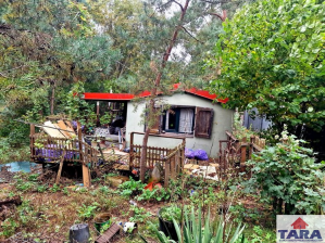 Działka Chomiąża Szlachecka 