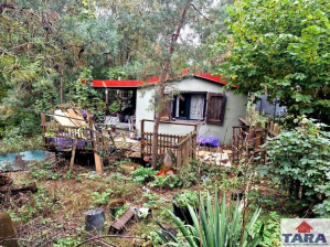 Dom Chomiąża Szlachecka 