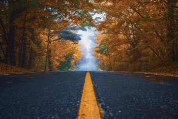 Służebność gruntowa i drogi koniecznej. Najważniejsze informacje. 